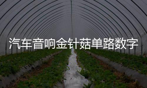 汽车音响金针菇单路数字大功率双音圈超重纯低音无源低音炮功放板