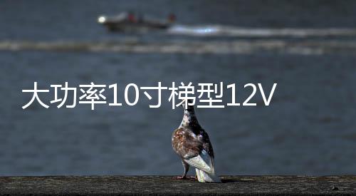 大功率10寸梯型12V24V改装汽车载有源低音炮220V插卡蓝牙音响音箱