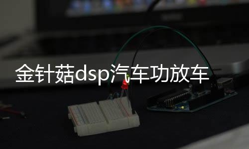 金针菇dsp汽车功放车载音频处理器无损改装4进6出大功率音响低音