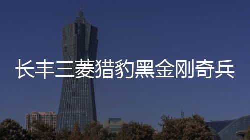 长丰三菱猎豹黑金刚奇兵飞腾6481内饰改装饰汽车配件仪表台避光垫