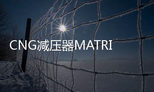 CNG减压器MATRIX意大利原装进口cng汽车天然气配件油改气减压阀