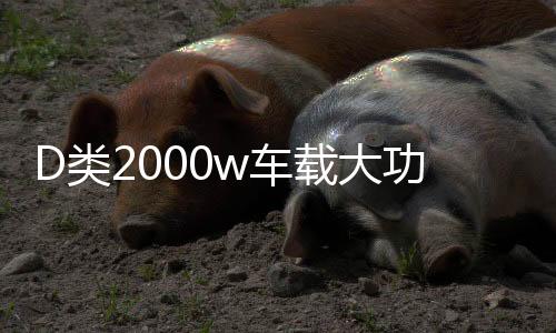 D类2000w车载大功率纯重低音可推双12寸10寸无源双音圈低音炮功放